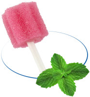 Mundpflegestäbchen Minze