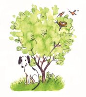 Input stories - Jona and Mira Jona wants a dog